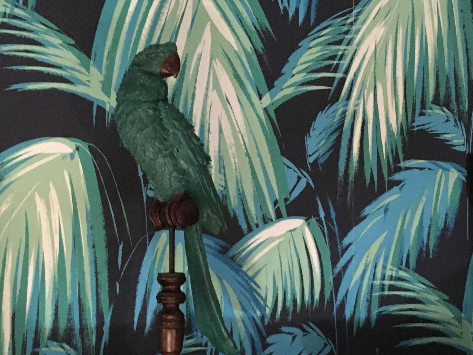 Hotel Alnea カンヌ エクステリア 写真